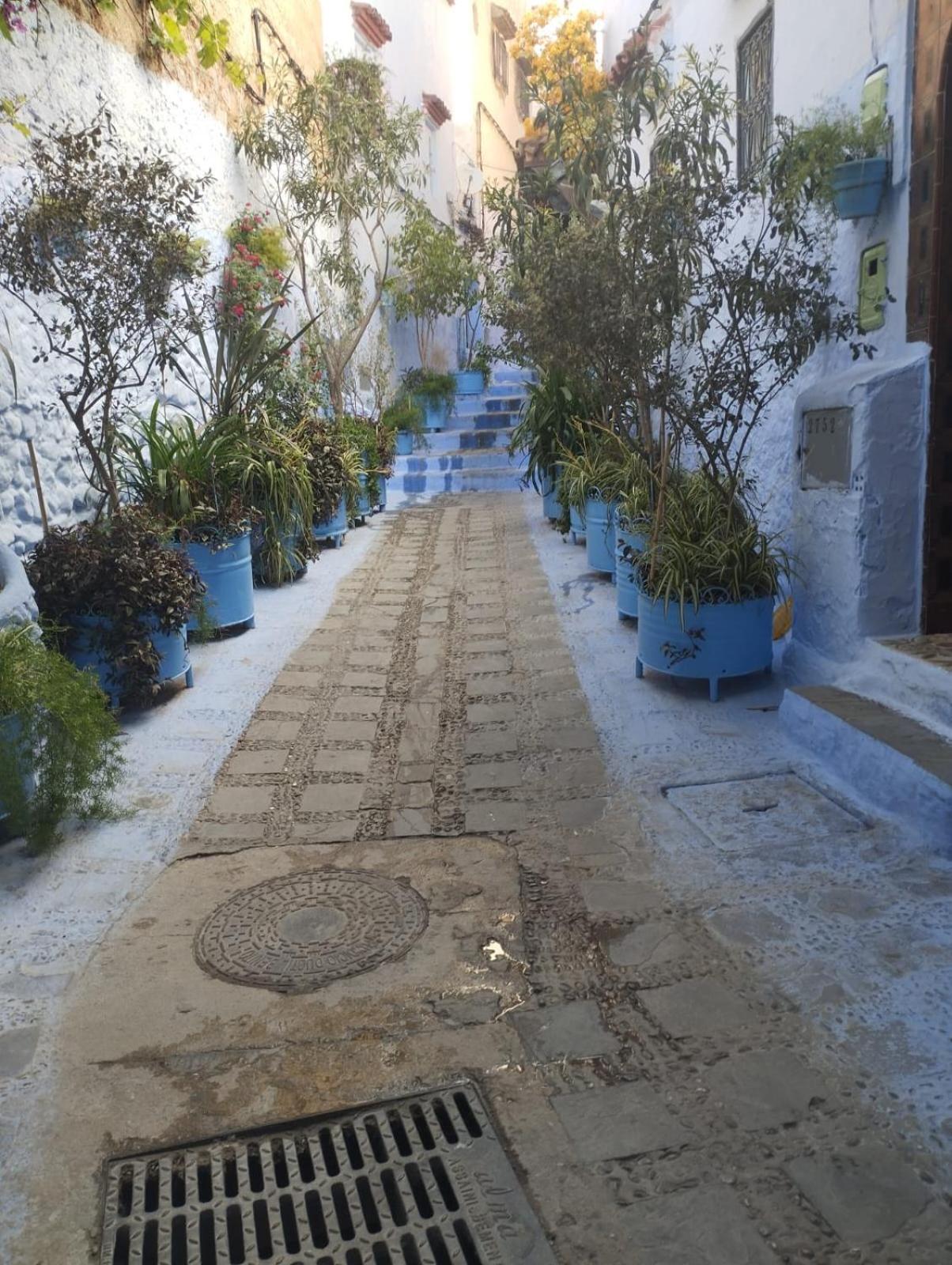 Dar Al Mansoura Riad Chefchaouen Værelse billede